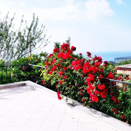 Villa Paradise *